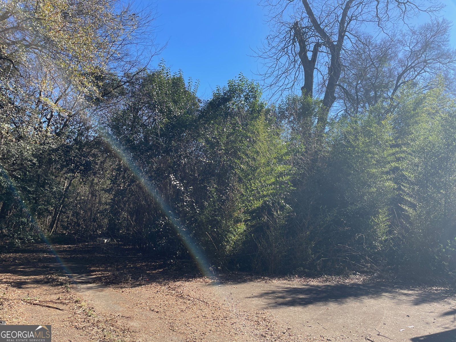 550 Orange Street Dawson - Photo 8