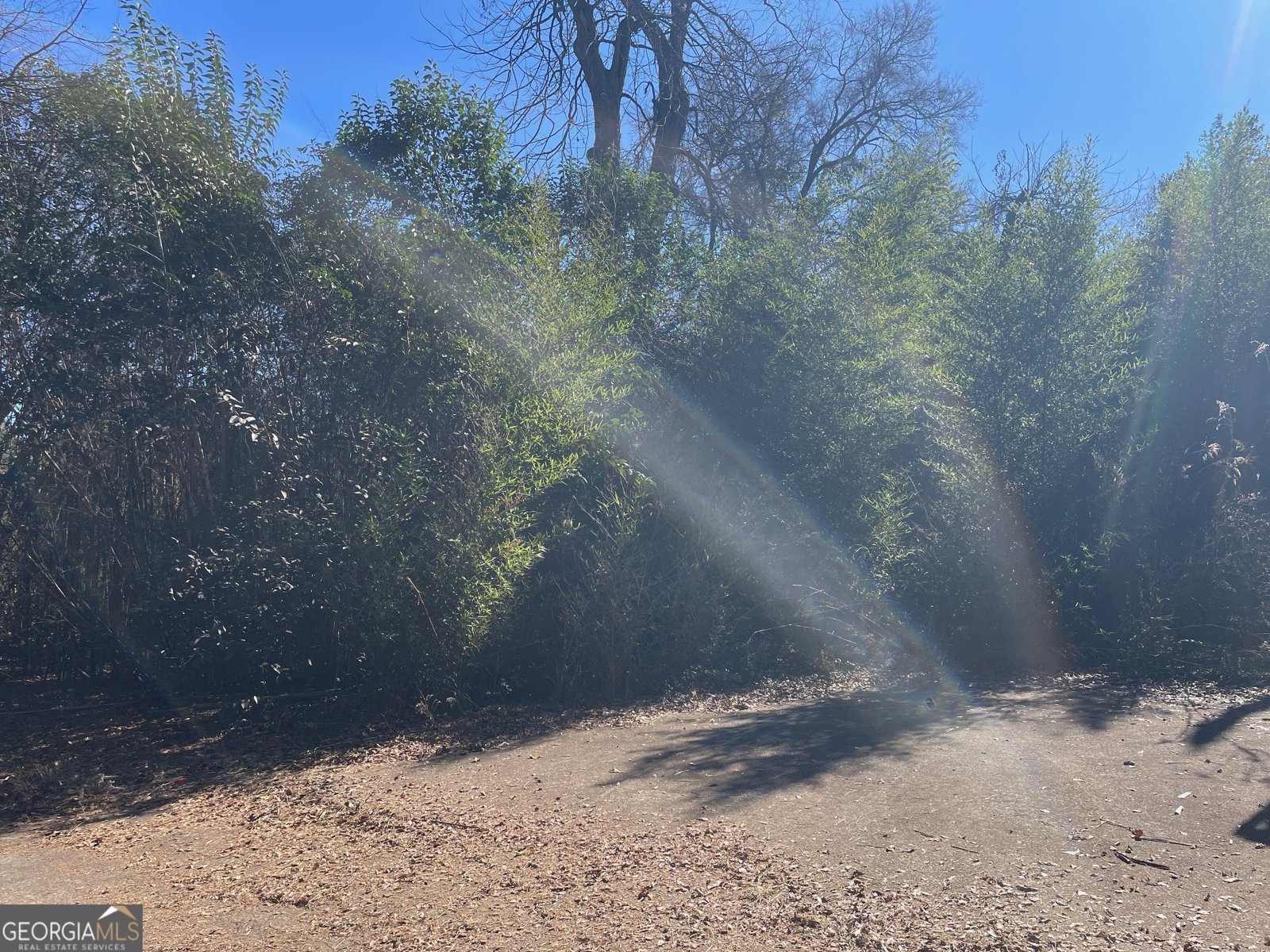 550 Orange Street Dawson - Photo 9