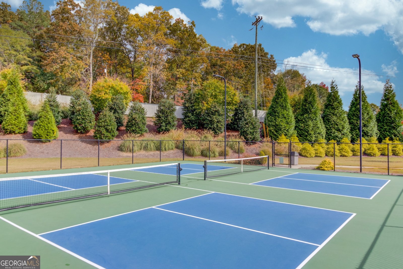 704 Hickory Hollow Walk Canton - Photo 45