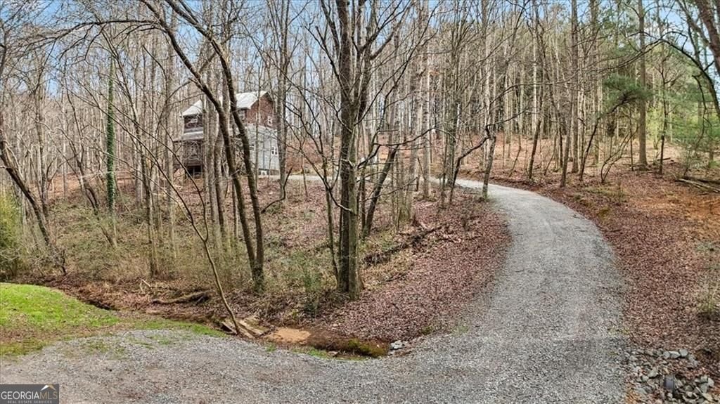 2671 Knight Road Ellijay - Photo 31