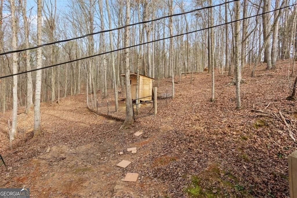 2671 Knight Road Ellijay - Photo 7