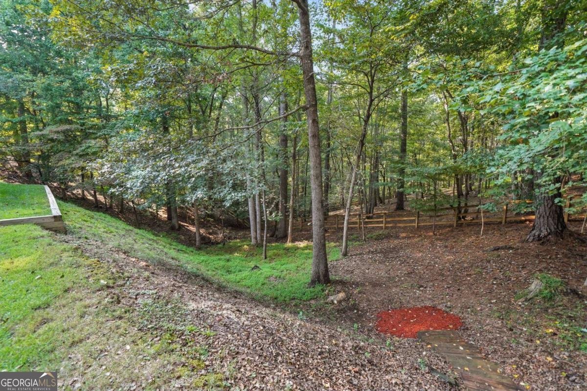 629 Gold Valley Pass Canton - Photo 58