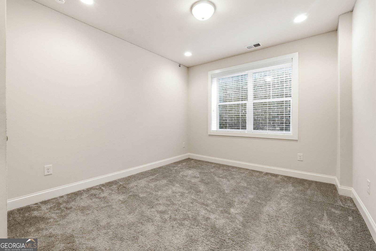 318 Lantana Lane Woodstock - Photo 30