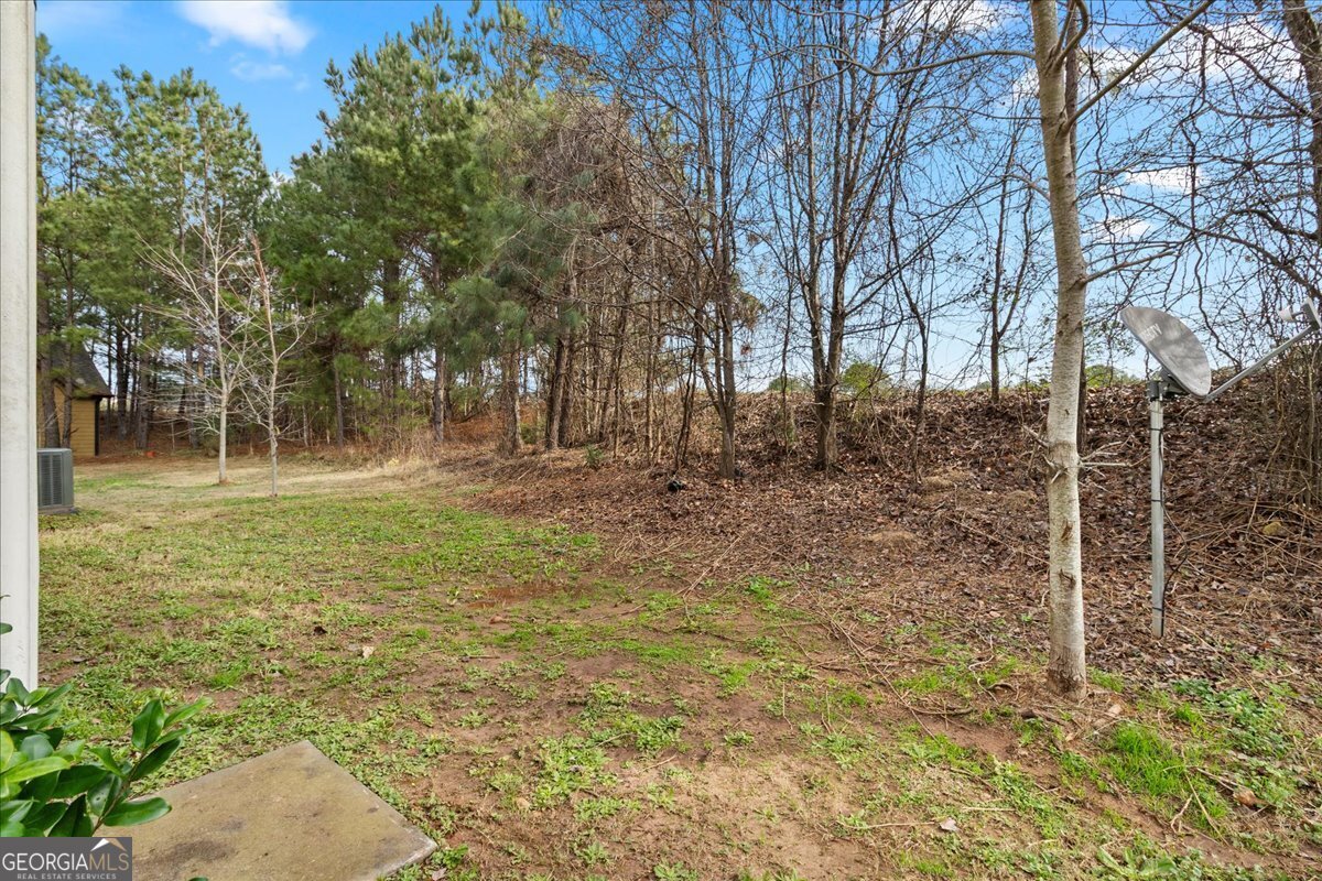 116 Al Jennah Boulevard Locust Grove - Photo 30