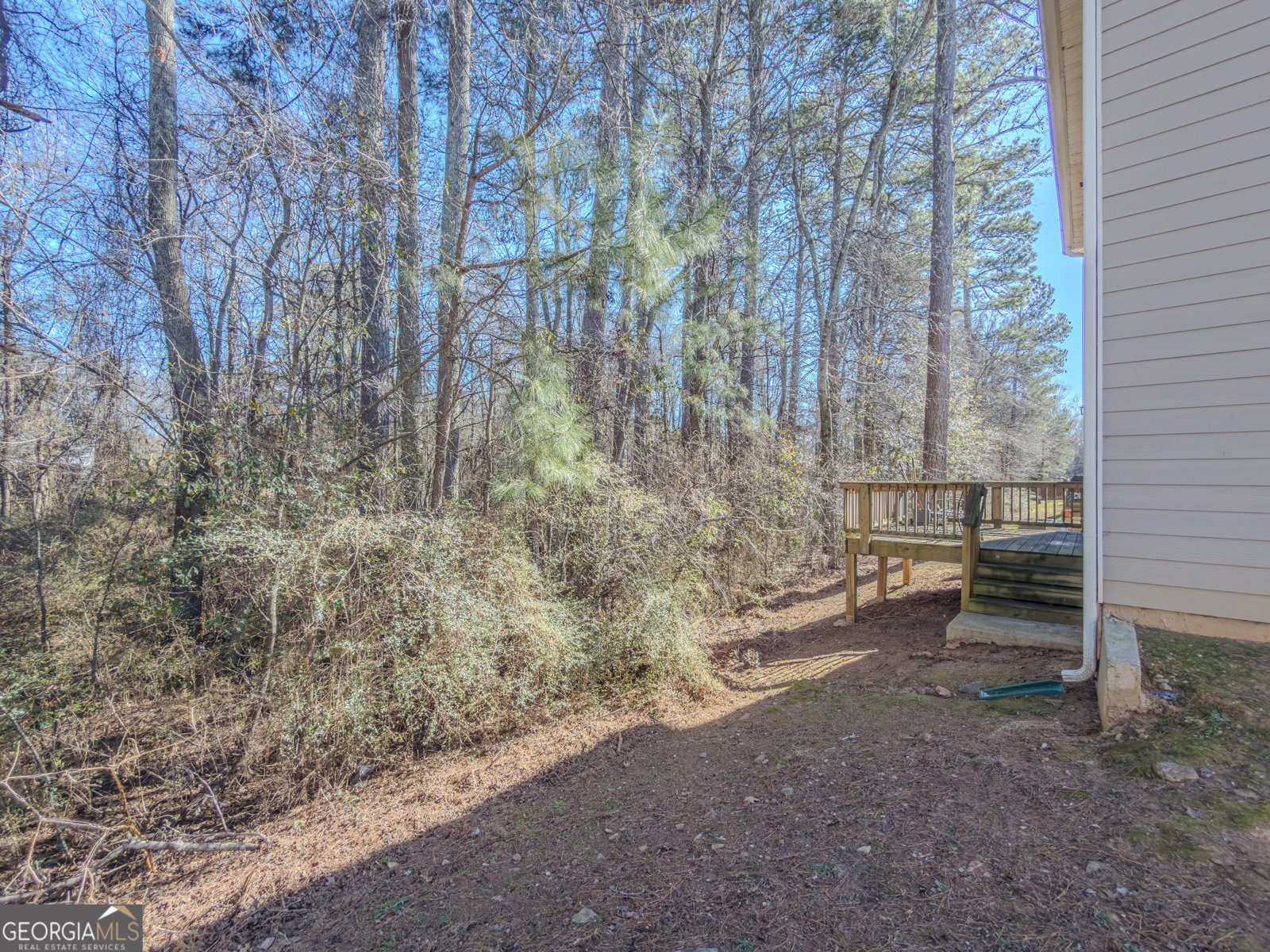 11777 Lovejoy Crossing Boulevard Lovejoy - Photo 31