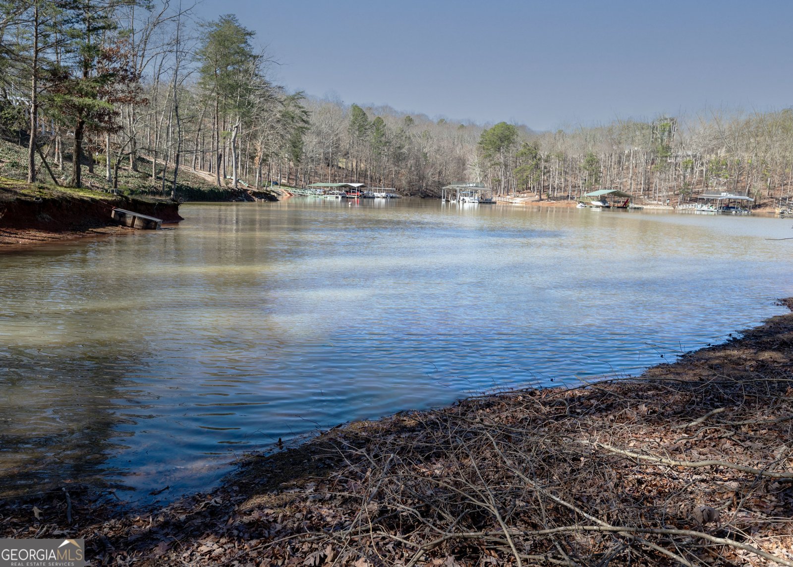 29 Cove HBR Lavonia - Photo 51