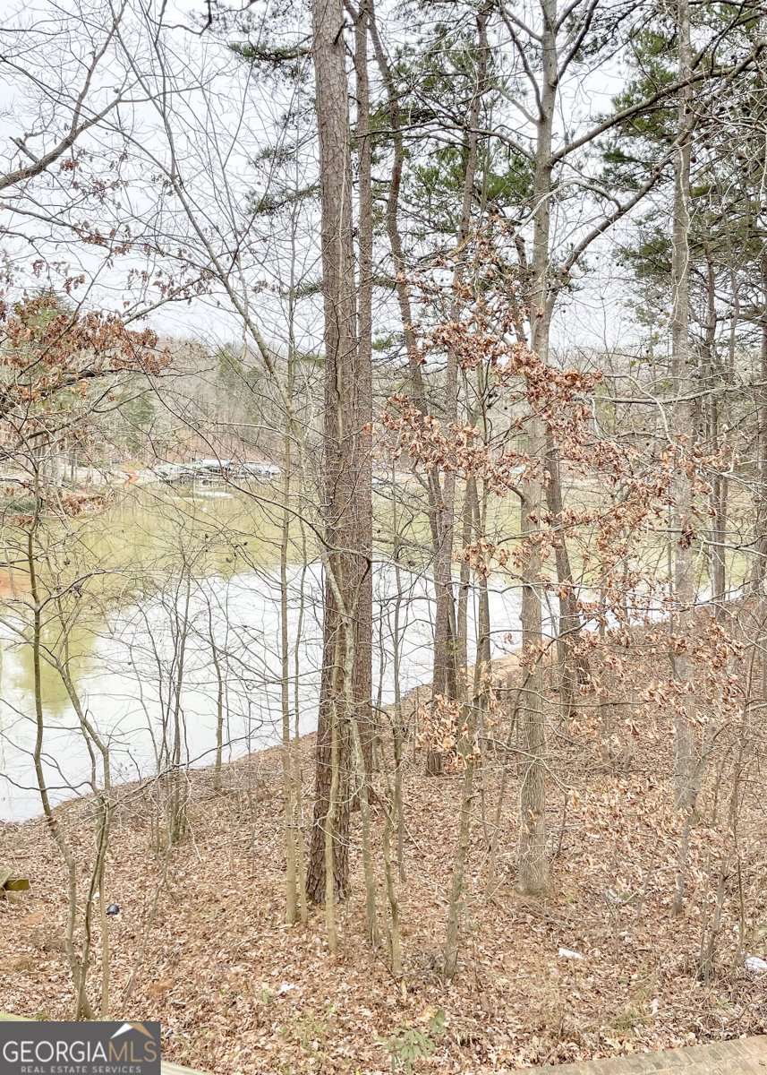 29 Cove HBR Lavonia - Photo 52