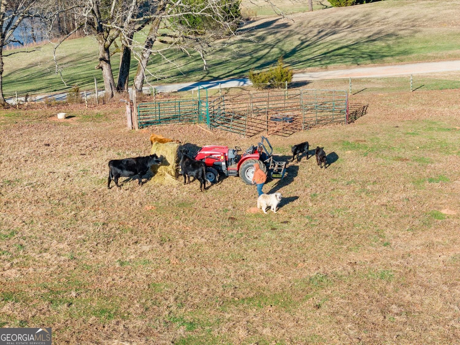 552 Vista View Place Cleveland - Photo 54