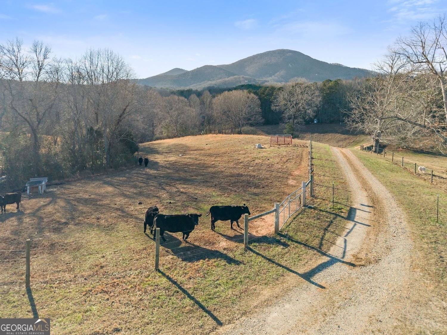 552 Vista View Place Cleveland - Photo 73