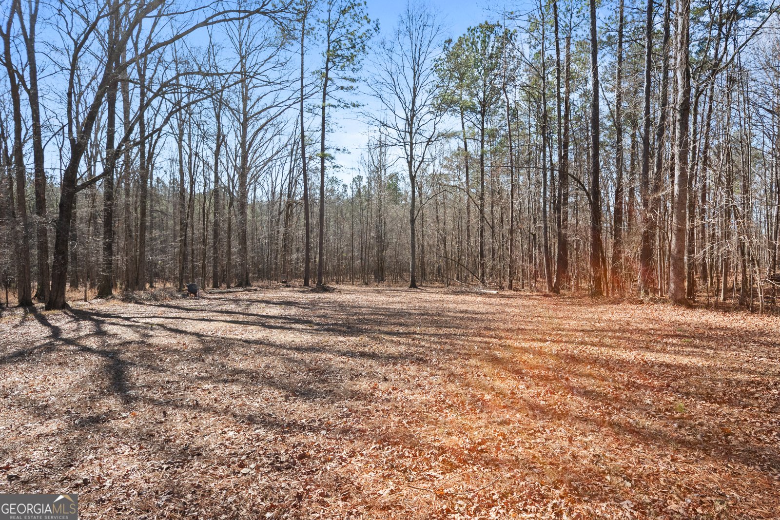 180 Alford Drive Fayetteville - Photo 58