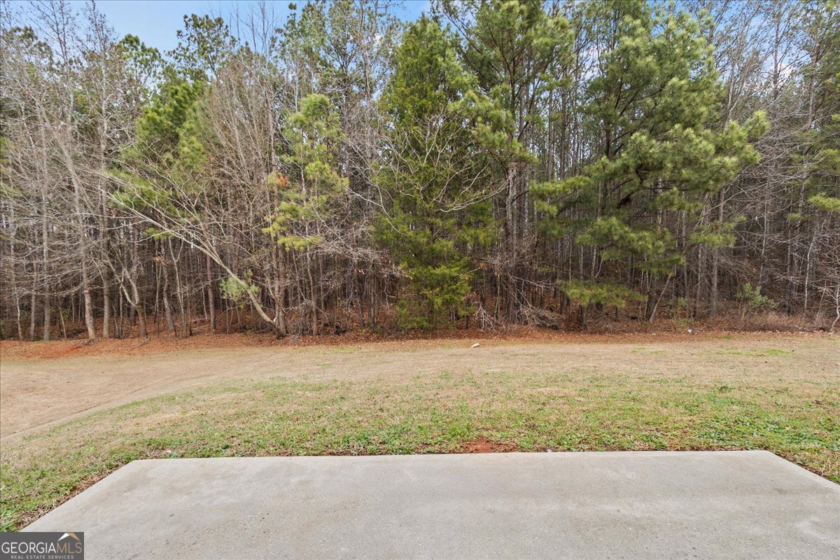 125 Sanders Walk McDonough - Photo 26