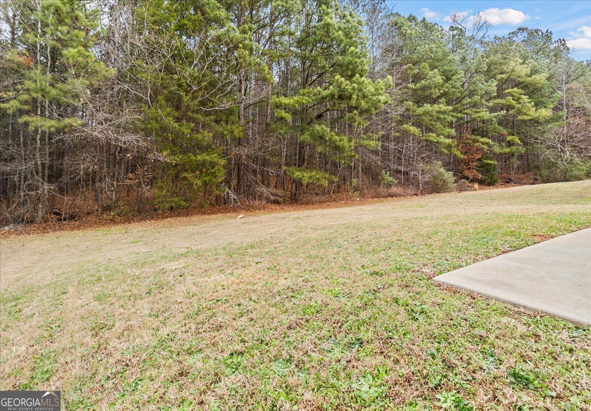 125 Sanders Walk McDonough - Photo 31