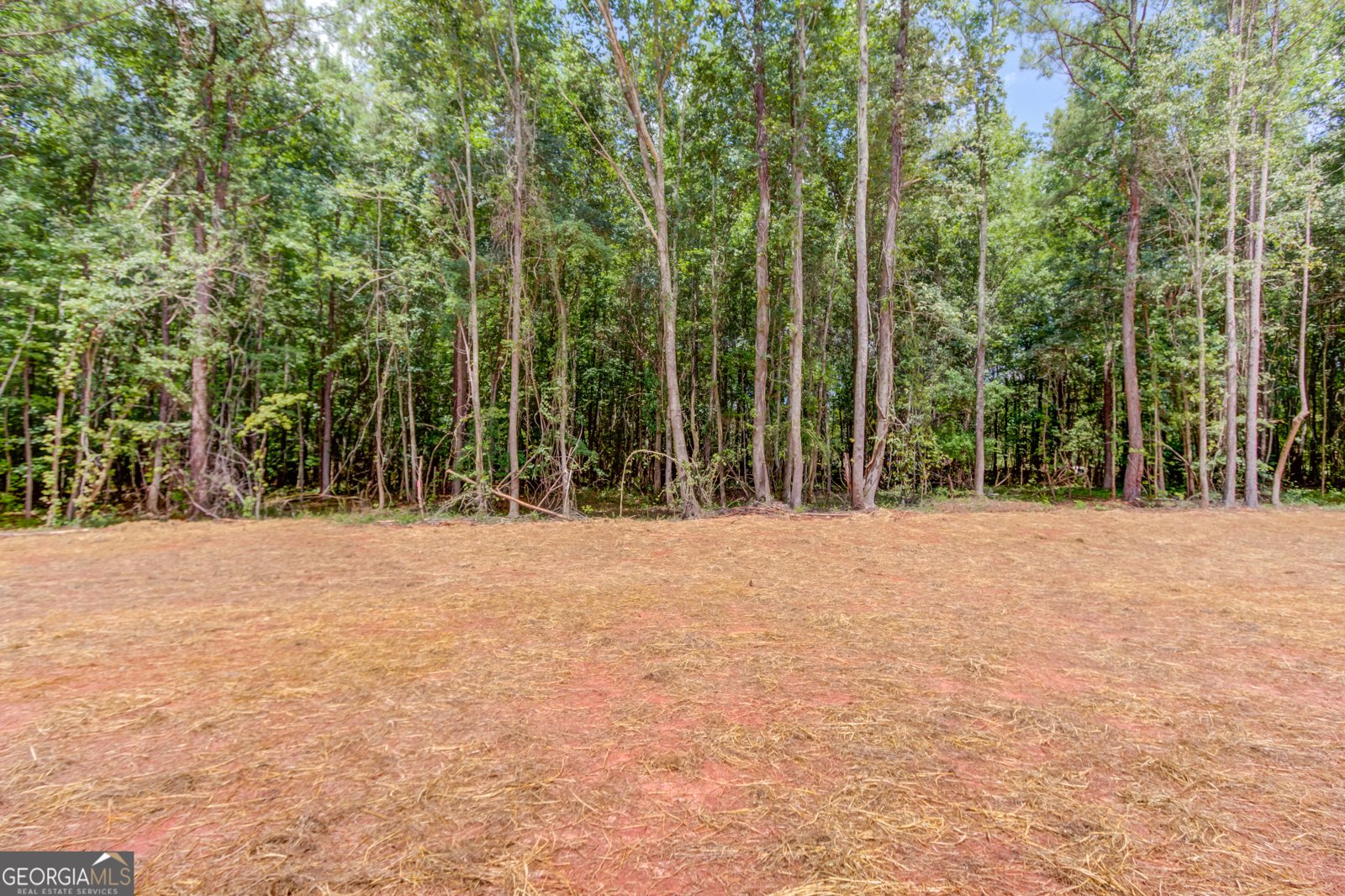 TRACT Ethridge Road Jefferson - Photo 38