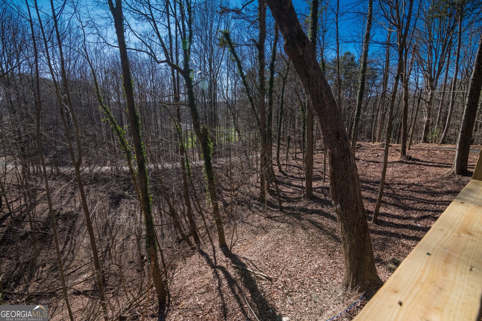 34 Lookout Ridge Road Cleveland - Photo 29