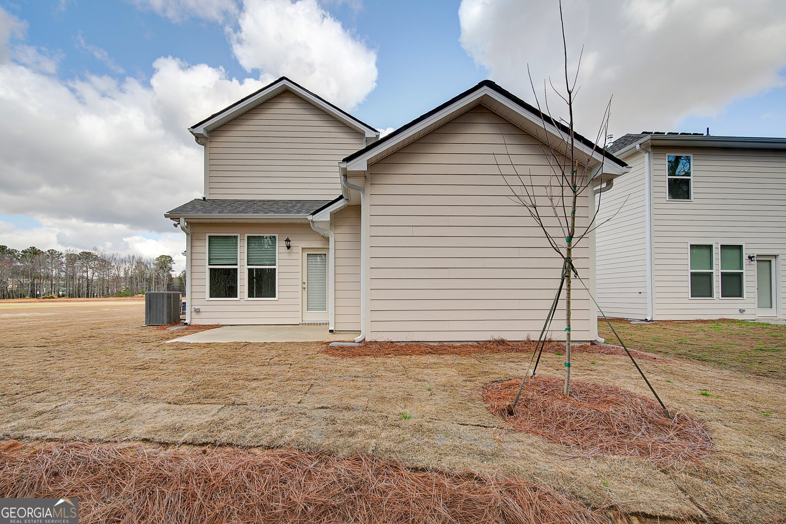 313 Abbotts Crossing Circle Conyers - Photo 29