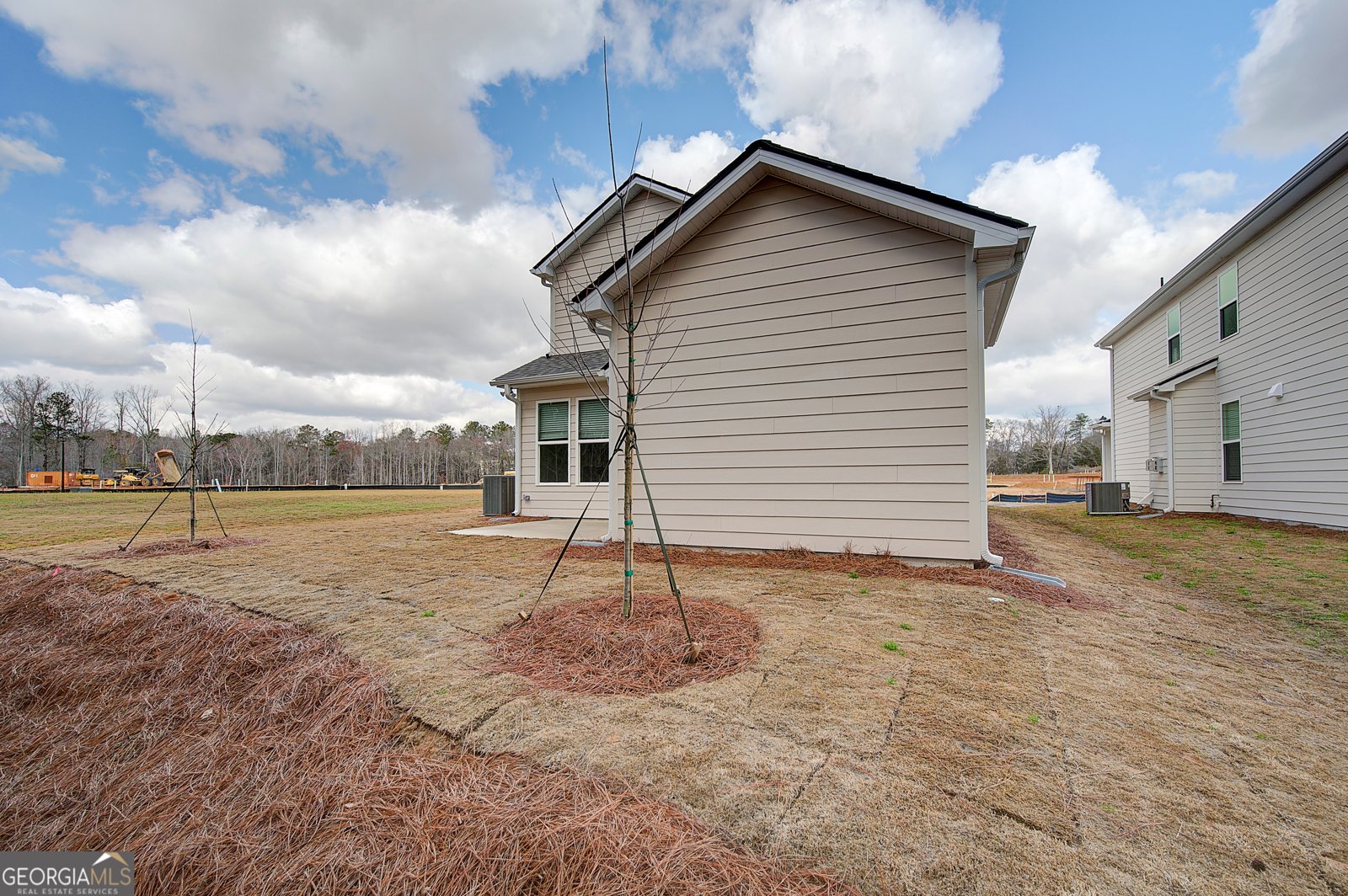 313 Abbotts Crossing Circle Conyers - Photo 30