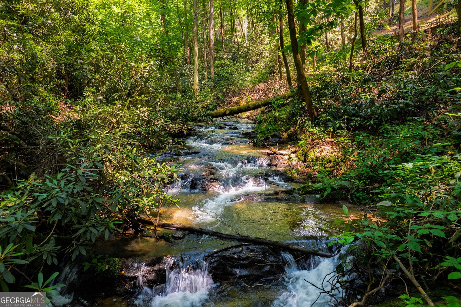 122 Laurel Creek Trail Cherry Log - Photo 10