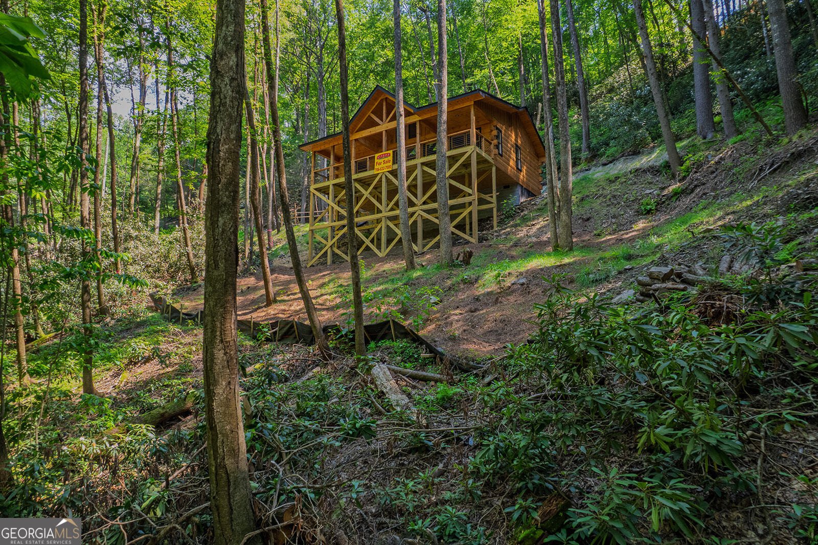 122 Laurel Creek Trail Cherry Log - Photo 11