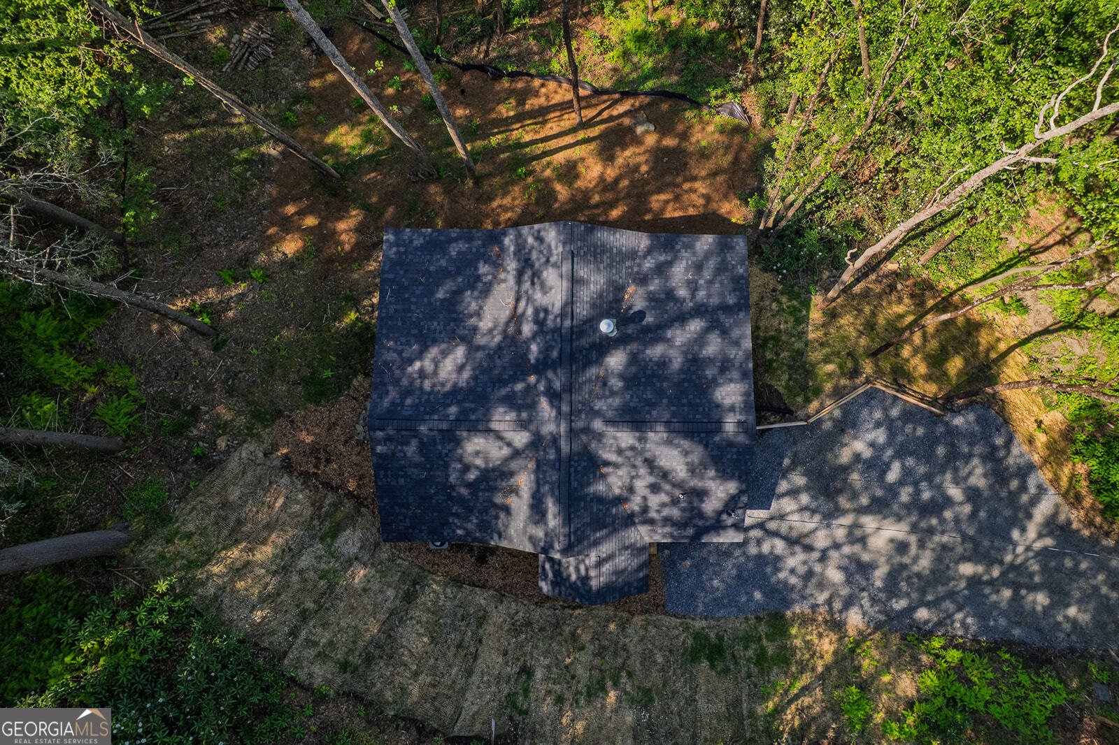 122 Laurel Creek Trail Cherry Log - Photo 14