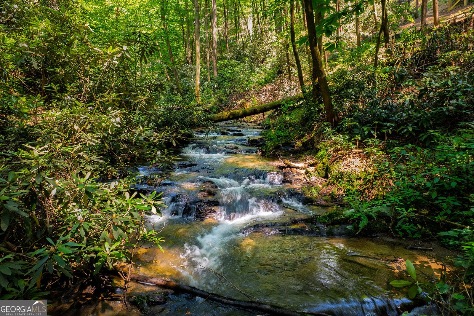 122 Laurel Creek Trail Cherry Log - Photo 9