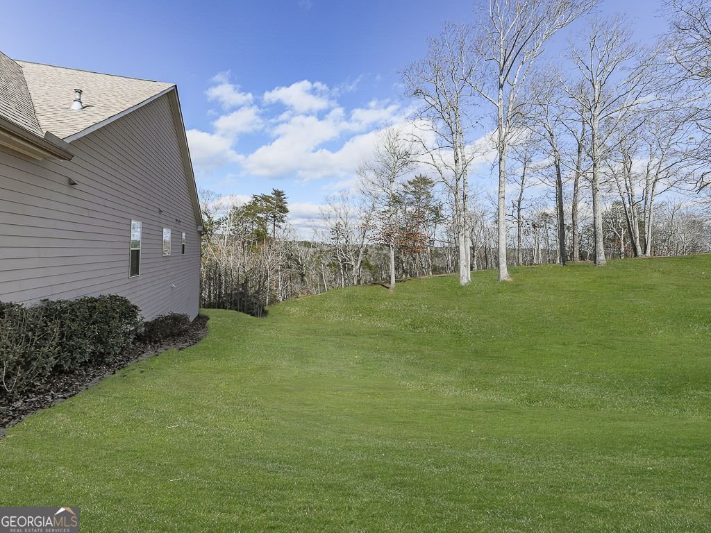 137 Hidden Trail Court Canton - Photo 52