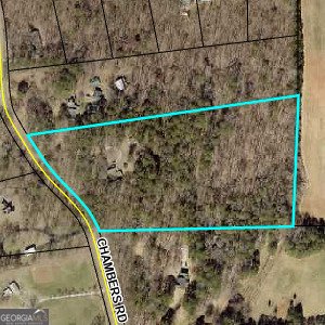 954 Chambers Road McDonough - Photo 28