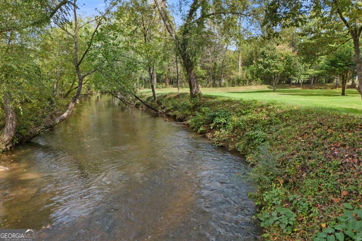 6389 Old Hwy 64W Warne - Photo 43