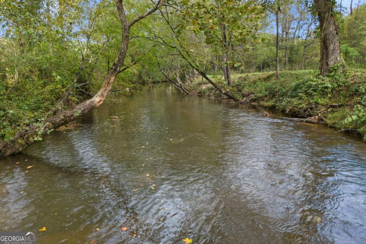 6389 Old Hwy 64W Warne - Photo 44