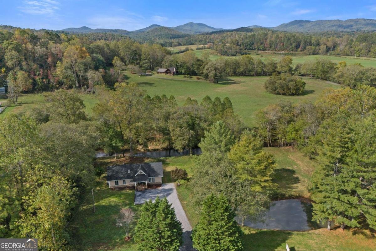 6389 Old Hwy 64W Warne - Photo 45