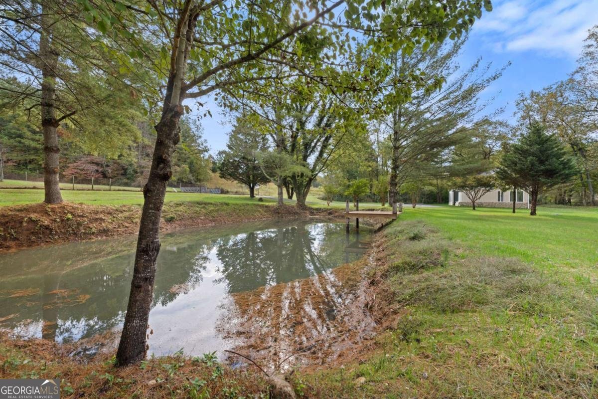 6389 Old Hwy 64W Warne - Photo 46