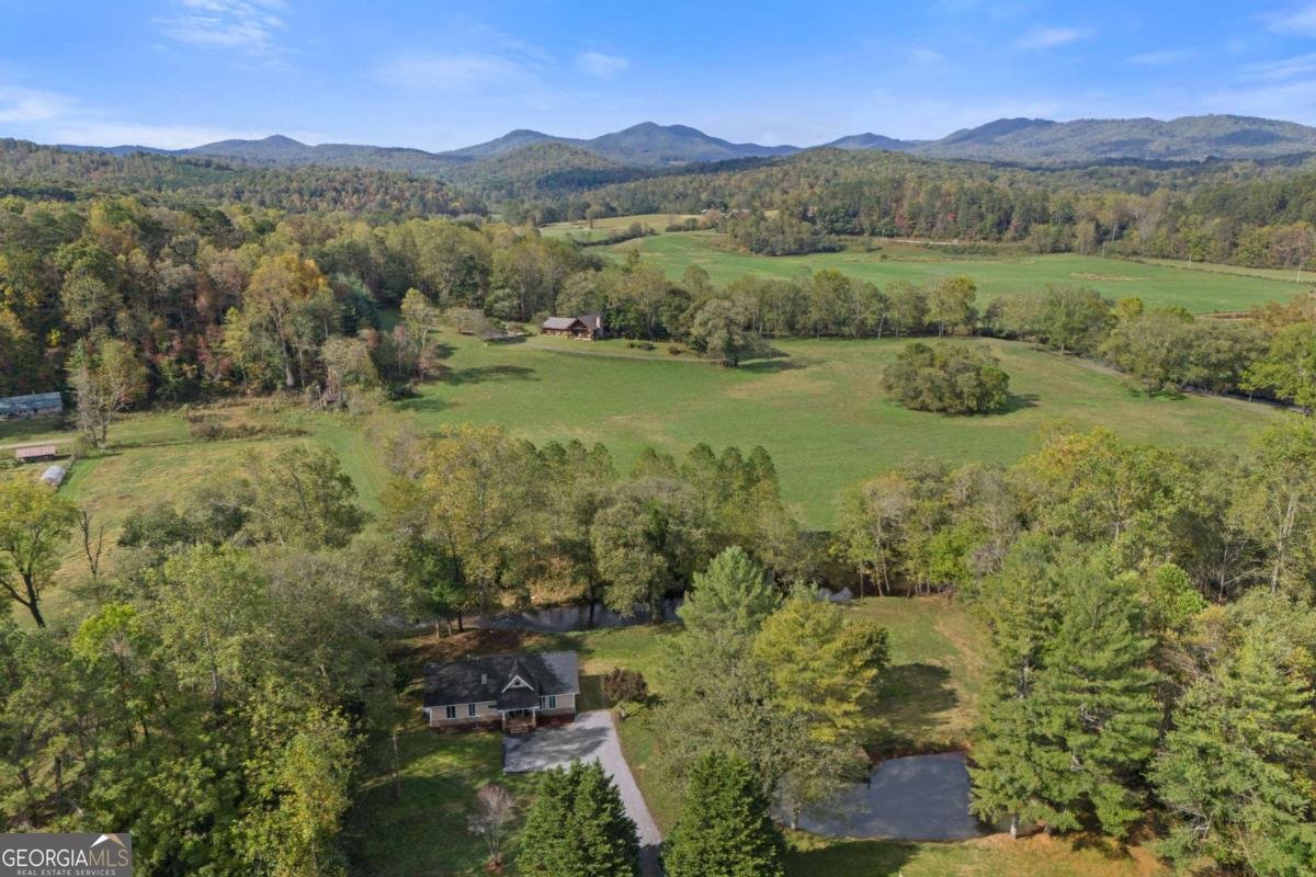 6389 Old Hwy 64W Warne - Photo 49