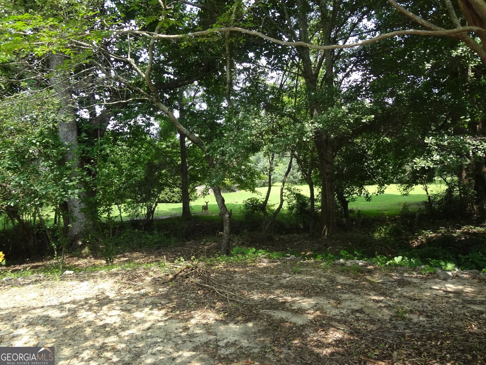 2958 Mary Alice Trail Loganville - Photo 18