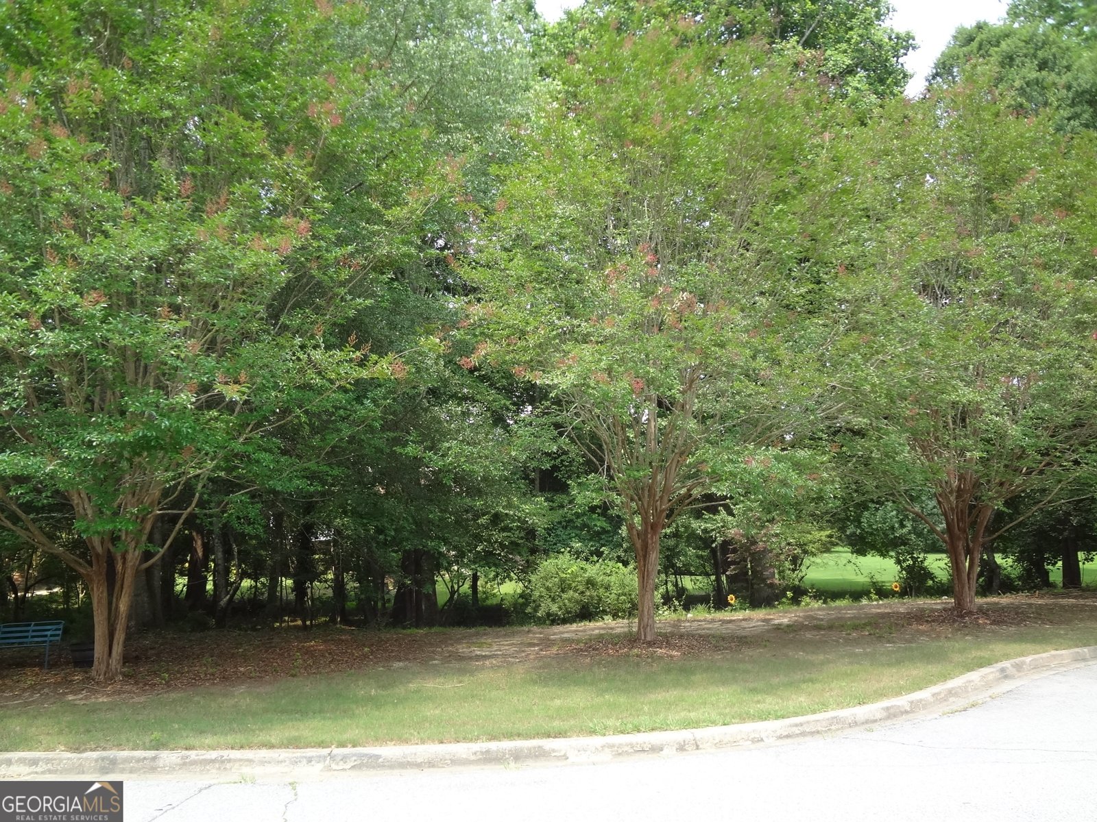 2958 Mary Alice Trail Loganville - Photo 19