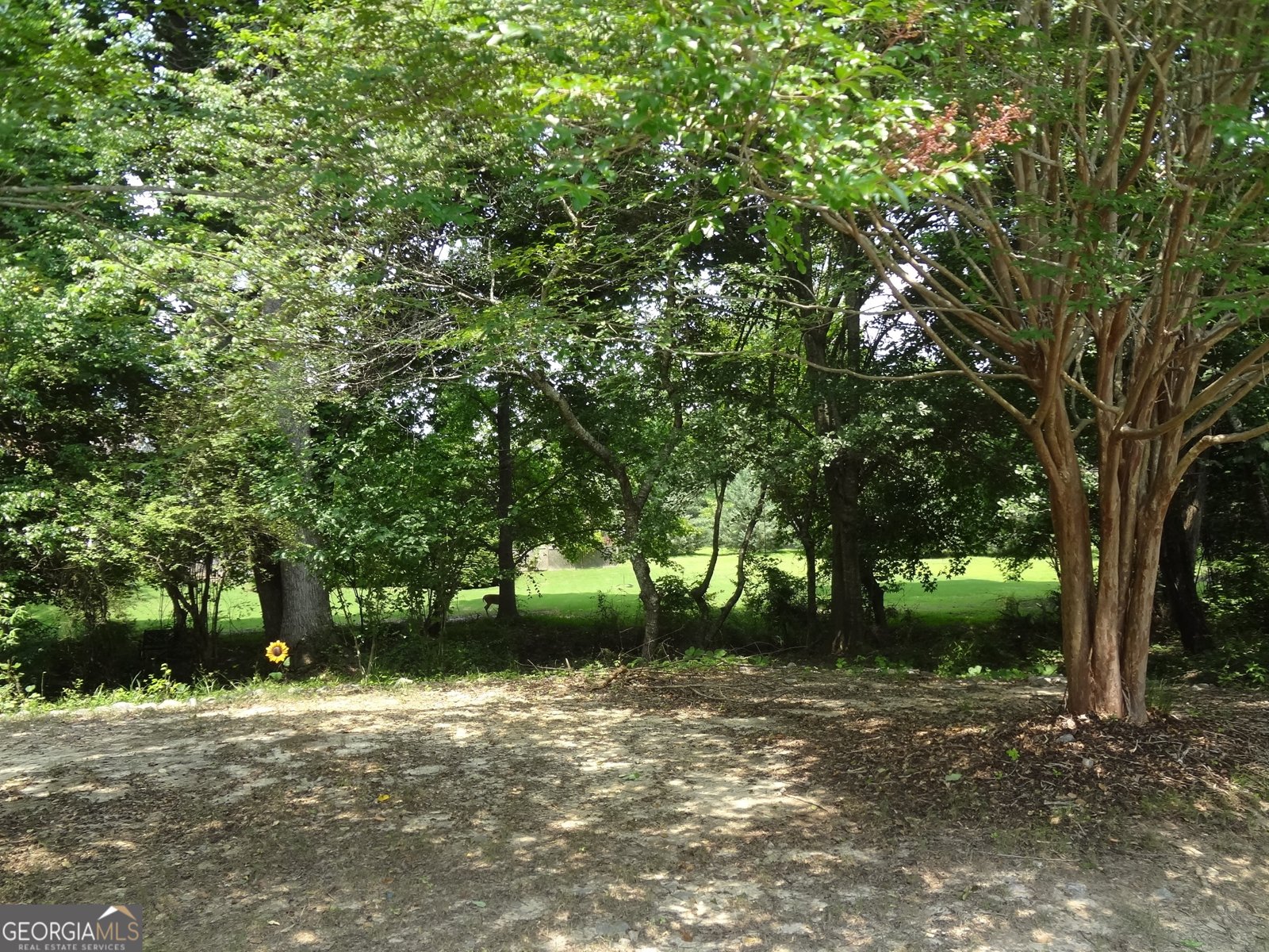 2958 Mary Alice Trail Loganville - Photo 20