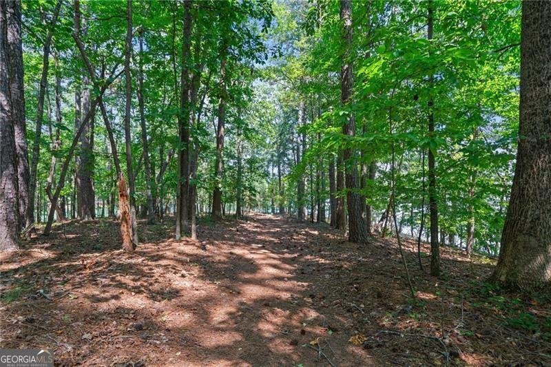 3145 Rockport Drive Cumming - Photo 51