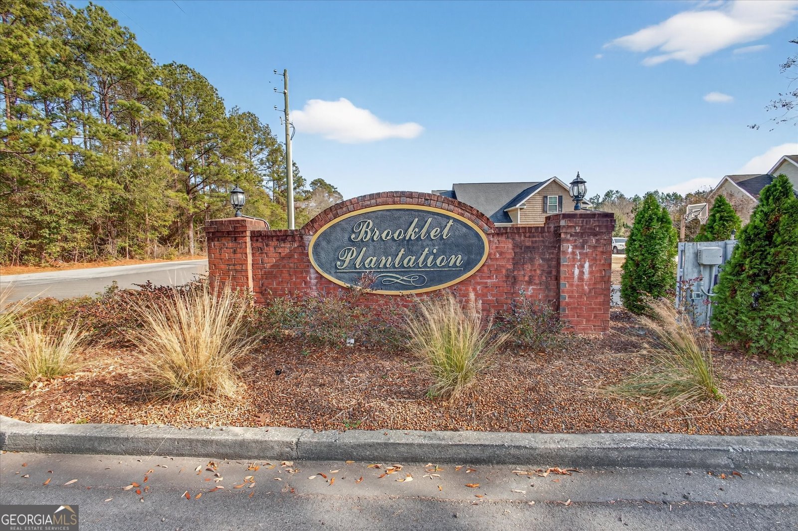 1600 Colony Lane Brooklet - Photo 44