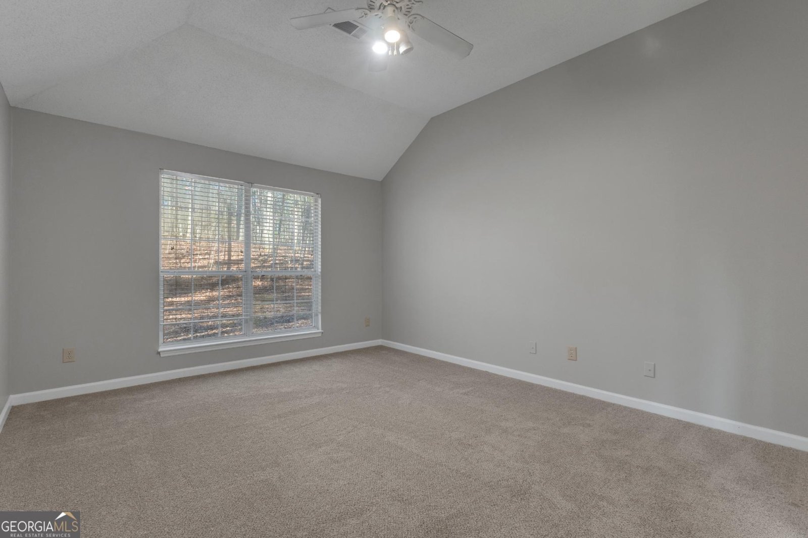 115 Park Timbers Drive Sharpsburg - Photo 33