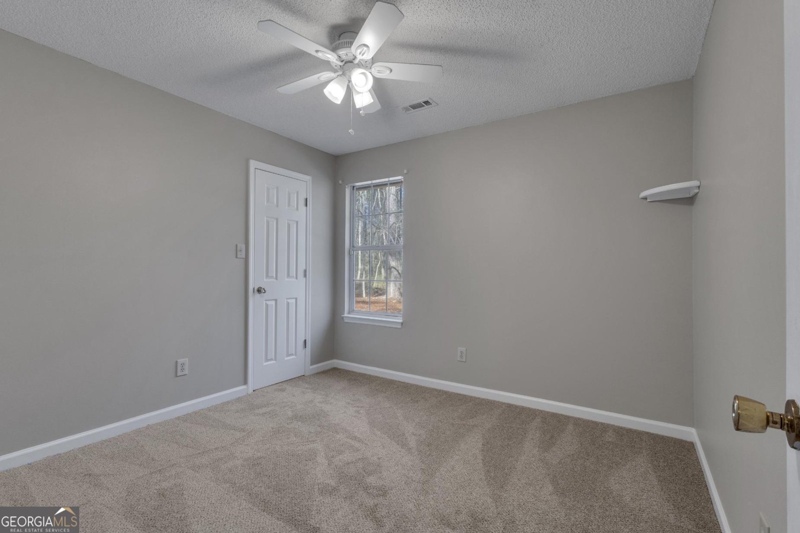 115 Park Timbers Drive Sharpsburg - Photo 46