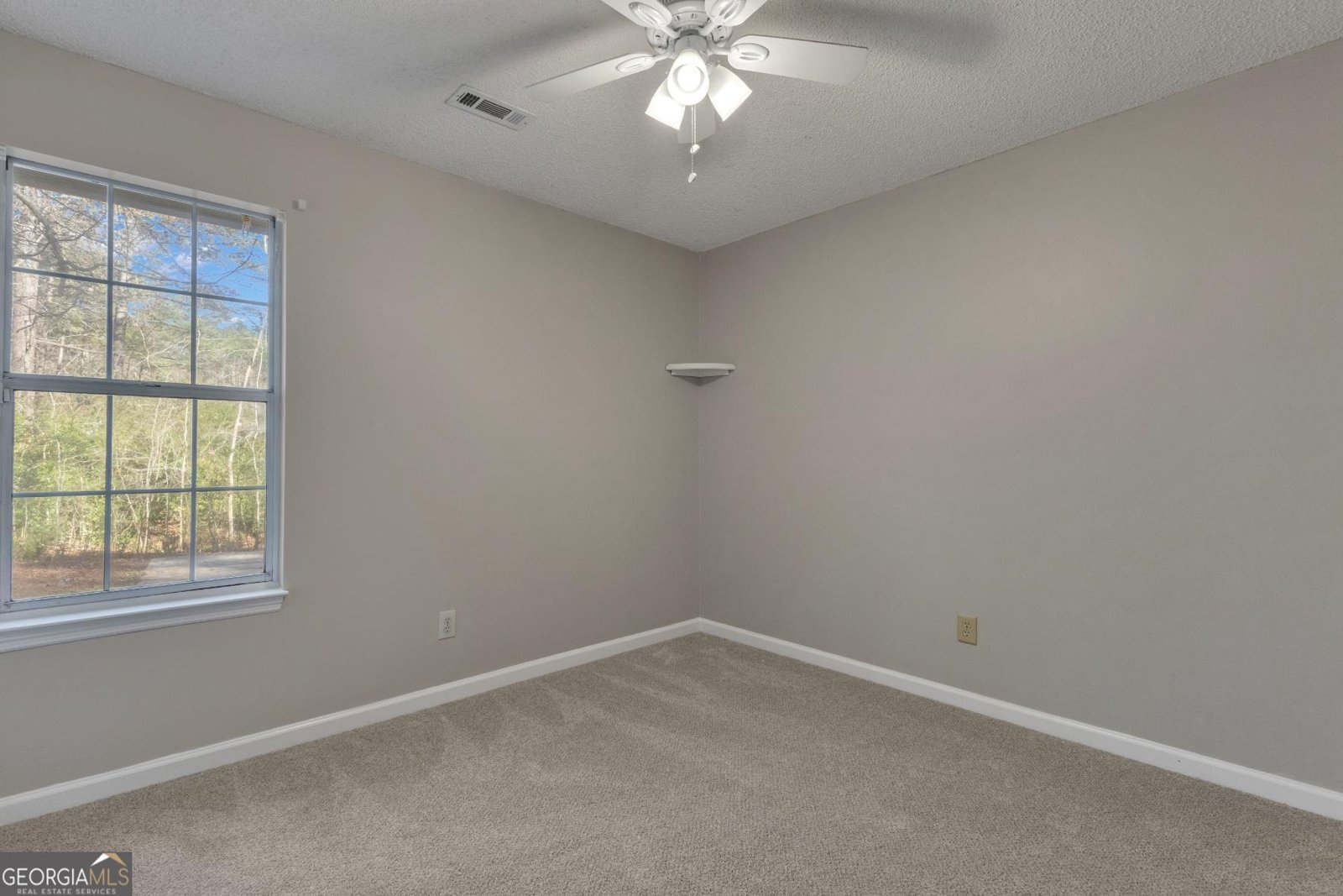 115 Park Timbers Drive Sharpsburg - Photo 48