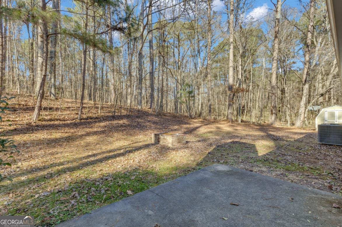 115 Park Timbers Drive Sharpsburg - Photo 49