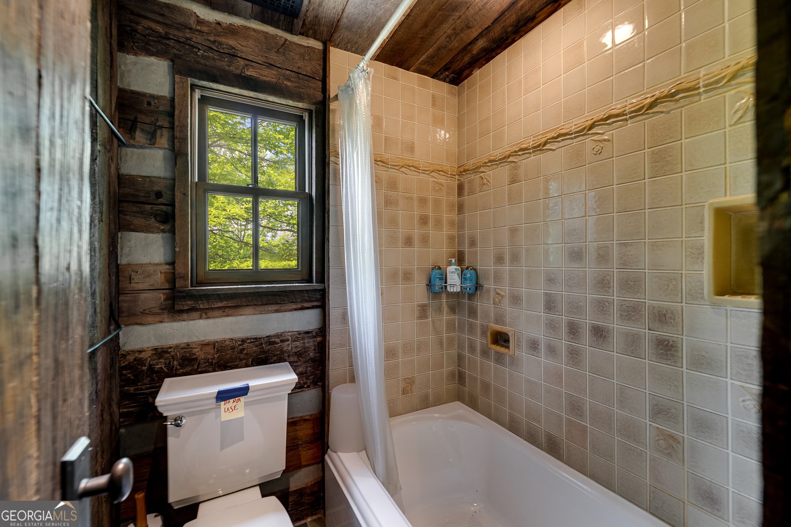 1 Burton Island Tiger - Photo 40