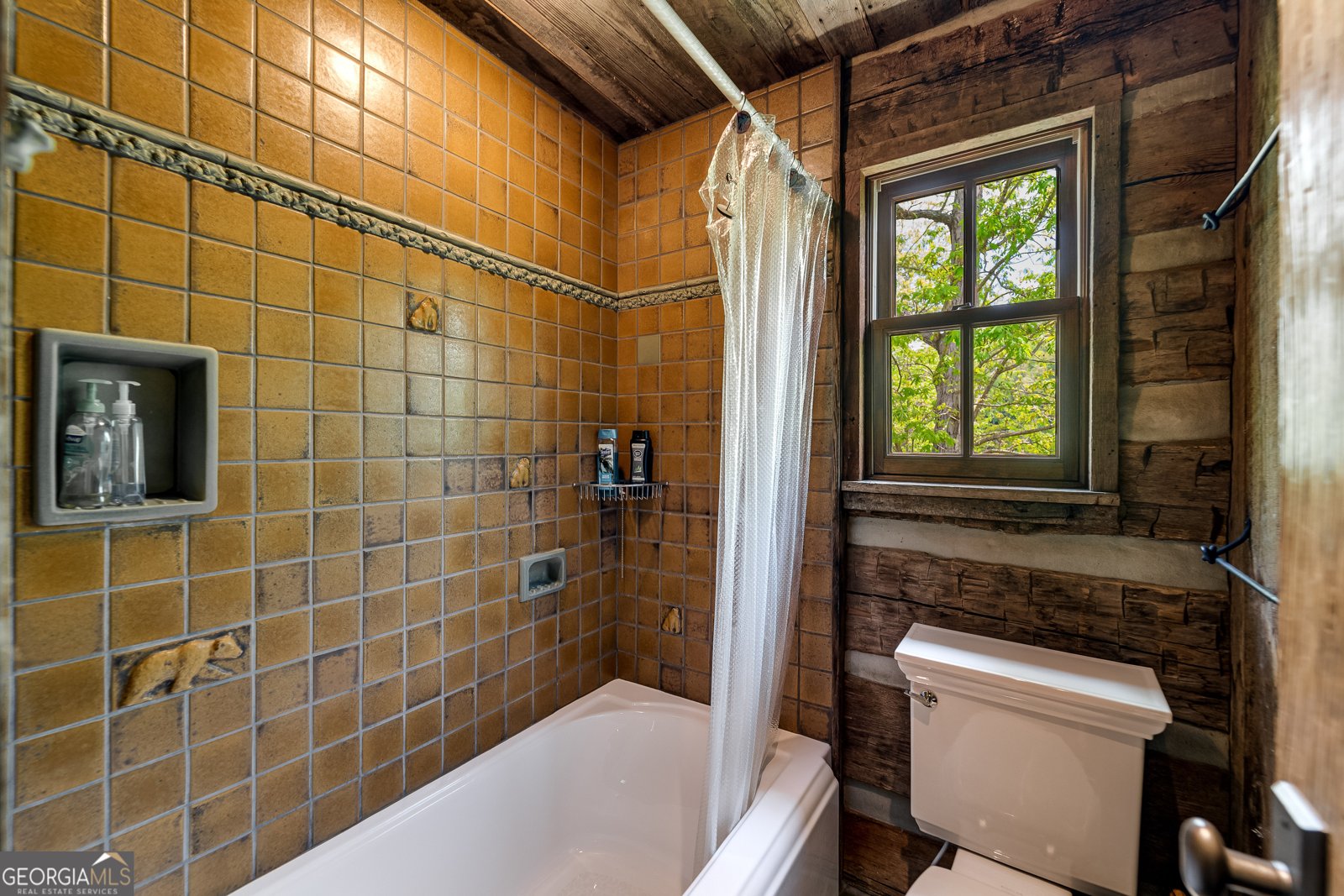 1 Burton Island Tiger - Photo 42