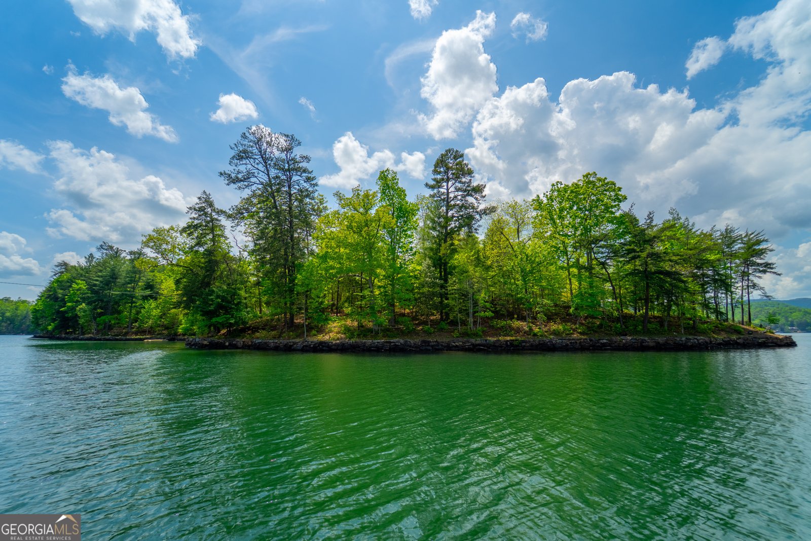 1 Burton Island Tiger - Photo 6