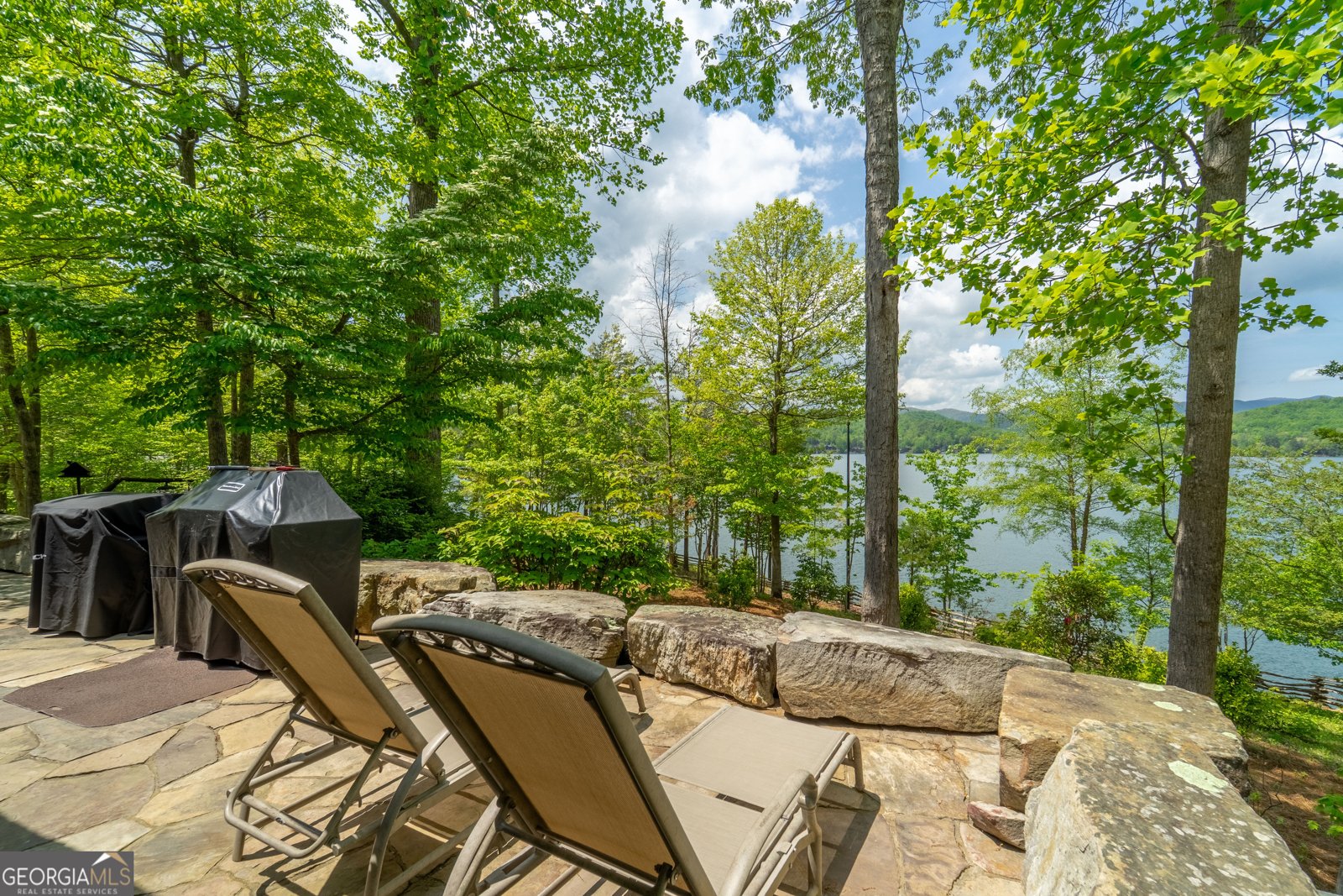 1 Burton Island Tiger - Photo 64