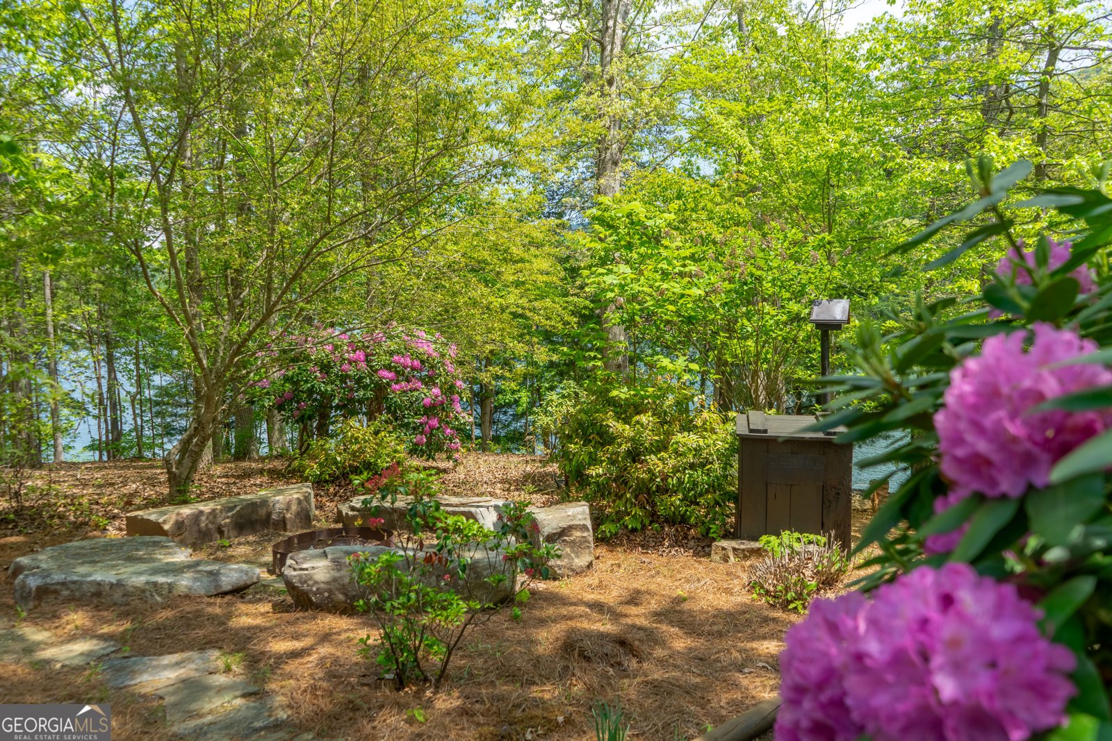 1 Burton Island Tiger - Photo 71