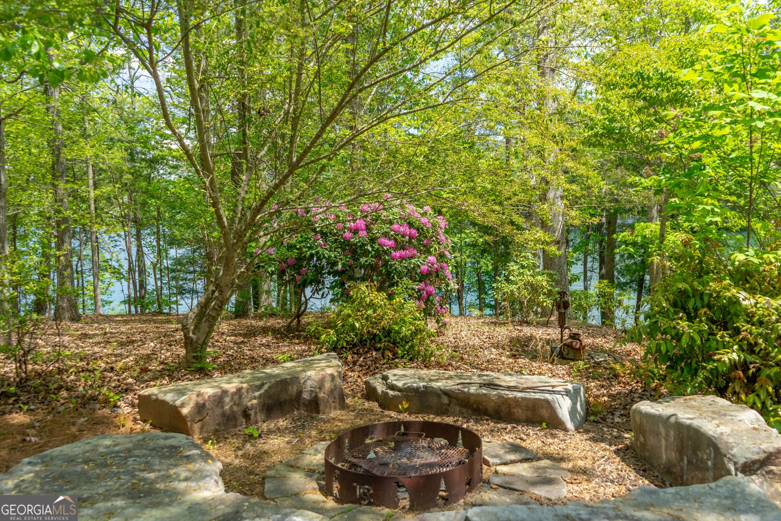 1 Burton Island Tiger - Photo 72