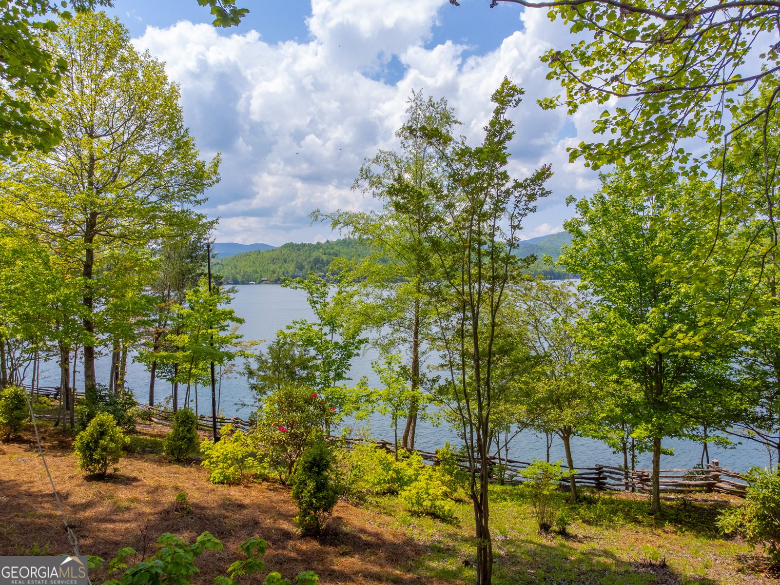 1 Burton Island Tiger - Photo 79