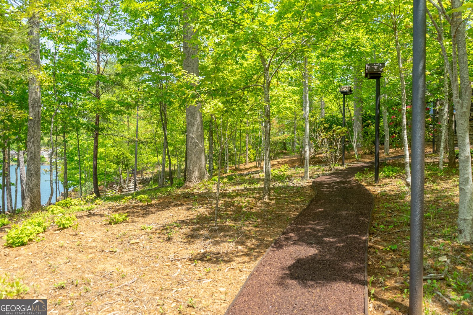 1 Burton Island Tiger - Photo 83