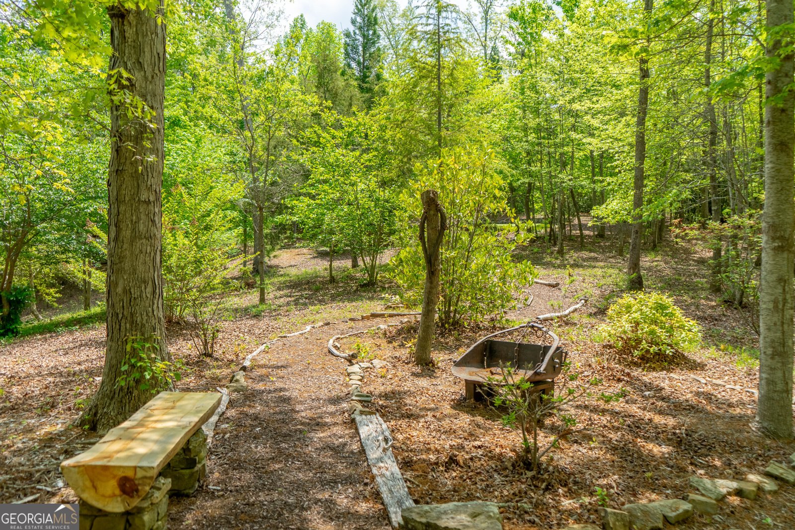 1 Burton Island Tiger - Photo 84