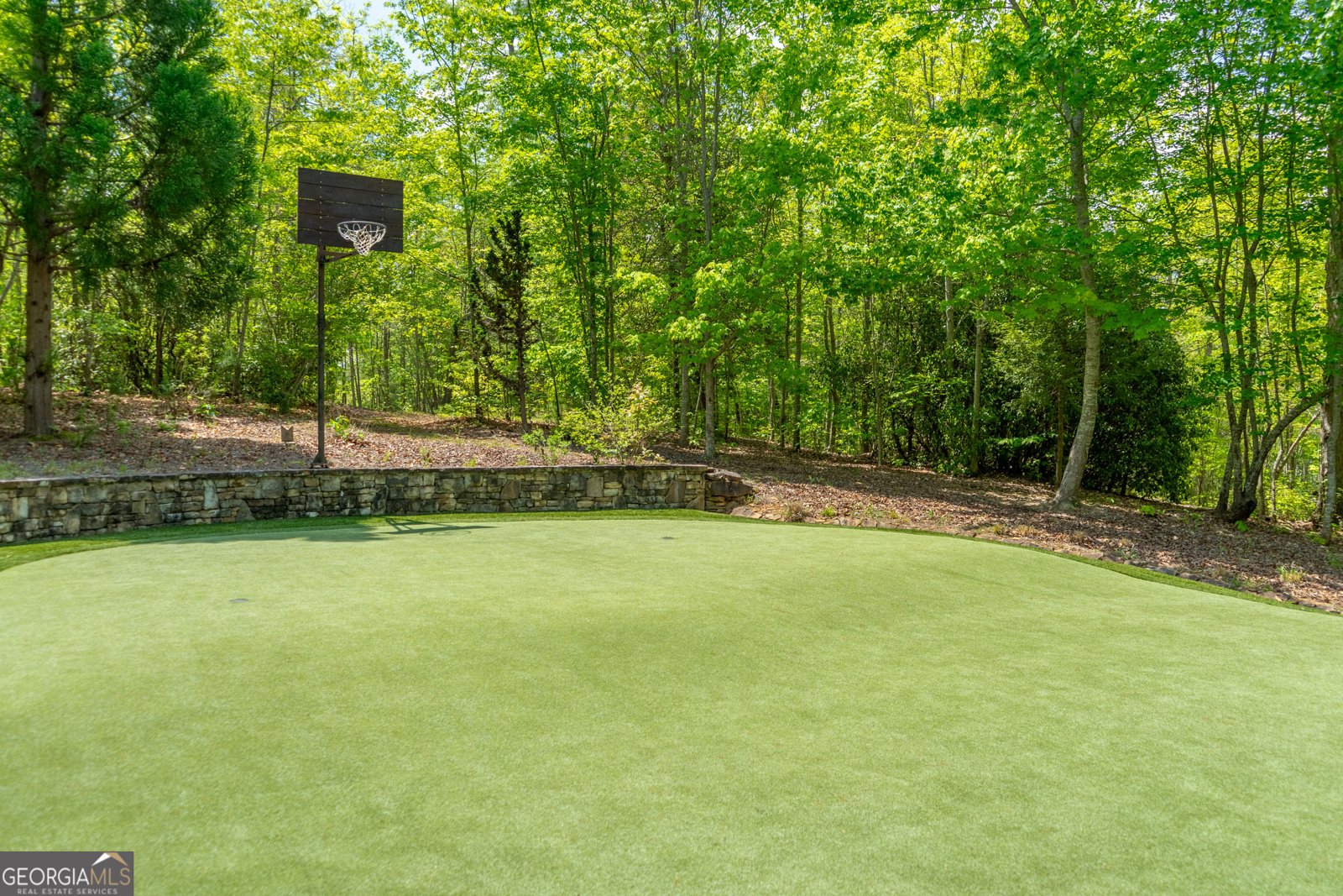 1 Burton Island Tiger - Photo 86